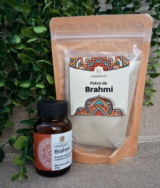 Extracto y polvo de Brahmi