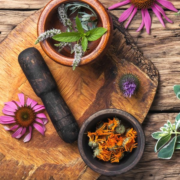 Course in Ayurveda nutrition and manual therapies with Dr. Vijay Carolin